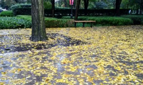 雨后的城市风景，你细细品味过吗？